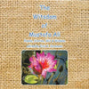 The Witsdom of Mustafa Ali: Poems, Stories, Wit & Wisdom - Paperback