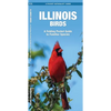 Illinois Birds: An Introduction to Familiar Species