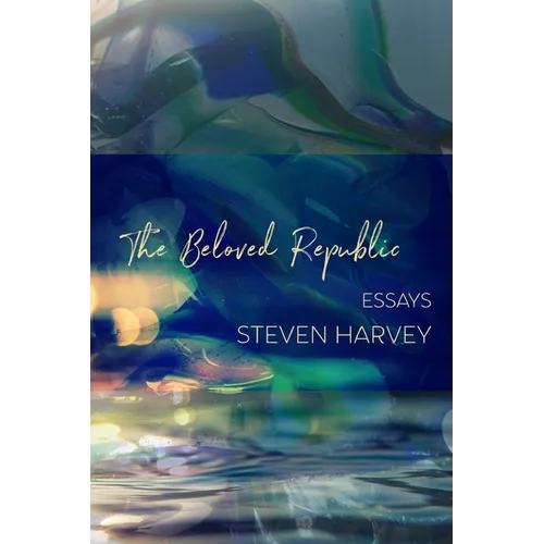 The Beloved Republic - Paperback