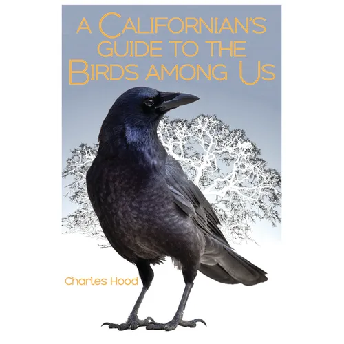 A Californian's Guide to the Birds Among Us - Paperback