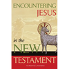 Encountering Jesus in the New Testament - Paperback