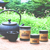 Oolong | Oolong | Loose-leaf Tea