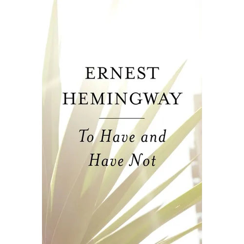 To Have and Have Not - Paperback