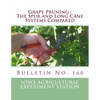 Grape Pruning: The Spur and Long Cane Systems Compared: Bulletin No. 160 - Paperback