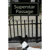 Superstar Passage: The Reincarnation of Karen Carpenter - Paperback