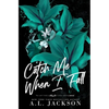 Catch Me When I Fall (Alternate Cover) - Paperback
