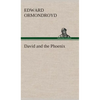 David and the Phoenix - Hardcover