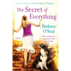 The Secret of Everything - Paperback