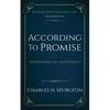 According to Promise: Of Salvation, Life, and Eternity - Paperback