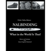Nalbinding - What in the World Is That?: History and Technique of an Almost Forgotten Handicraft - Paperback