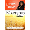 The Prosperous Soul: Your Journey to a Richer Life - Paperback