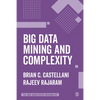 Big Data Mining and Complexity - Paperback