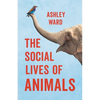 The Social Lives of Animals - Hardcover