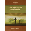 The Mystery of Providence - Hardcover
