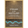Streams in the Wasteland: Finding Spiritual Renewal with the Desert Fathers and Mothers - Paperback