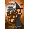 Something Borrowed, Something Broom - Paperback