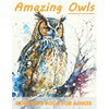 Owl Coloring Book for Adults: Relaxation and Stress Relief For Bird Lovers - Paperback