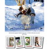 Enjoying the Clumber Spaniel: the Best from magazine Clumbers issues 122 - 125 (2011-2012) and even more! - Paperback