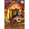 What Was the Great Chicago Fire? - Paperback