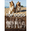 Top Dogs: Portraits and Stories - Paperback