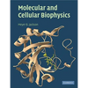 Molecular and Cellular Biophysics - Paperback