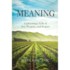 Meaning: Cultivating a Life of Joy, Purpose, and Impact - Paperback