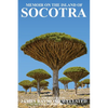 Socotra: Memoir on the Island of Socotra - Paperback