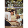 Energy Medicine for Animals: The Bioenergetics of Animal Healing - Paperback