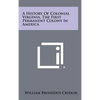 A History Of Colonial Virginia, The First Permanent Colony In America - Hardcover