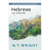 Hebrews for Everyone - Paperback