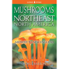 Mushrooms of Northeast North America: Midwest to New England - Paperback