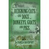 Reigning Cats and Dogs ... Donkeys, Goats and Pigs - Paperback