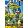 Mina's Backyard - Forever Home - Hardcover