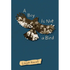 A Boy Is Not a Bird - Paperback