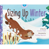 Sizing Up Winter - Paperback