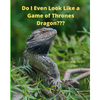 Do I Even Look Like a Game of Thrones Dragon: Paper and Pencil Games - Paperback