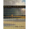 Picnic, Lightning - Paperback