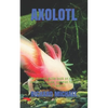 Axolotl: The ultimate guide book on how to care, feed, house, common health issues of axolotl - Paperback