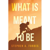 What Is Meant To Be - Paperback