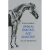 Animal Painting and Anatomy - Paperback