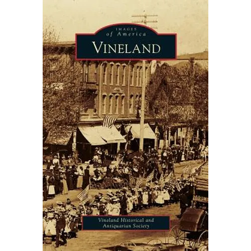 Vineland - Hardcover