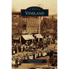Vineland - Hardcover