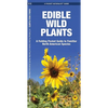 Edible Wild Plants: A Folding Pocket Guide to Familiar North American Species