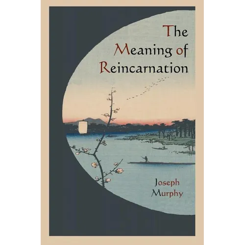 The Meaning of Reincarnation - Paperback