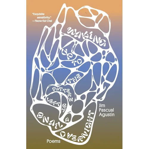 Waking Up to the Pattern Left by a Snail Overnight - Paperback