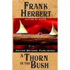 A Thorn in the Bush - Paperback