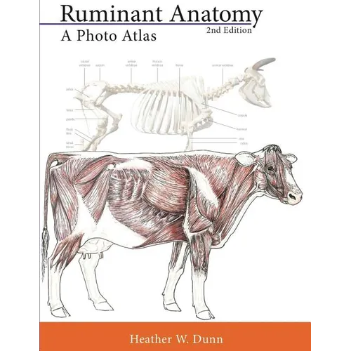 Ruminant Anatomy: A Photo Atlas - Paperback