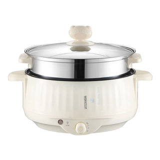 Single/Double Layer Electric Pot