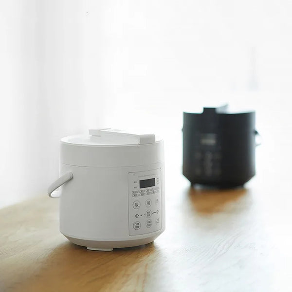 750W 2L Electric Rice Cooker