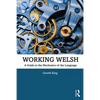 Working Welsh: A Guide to the Mechanics of the Language - Paperback